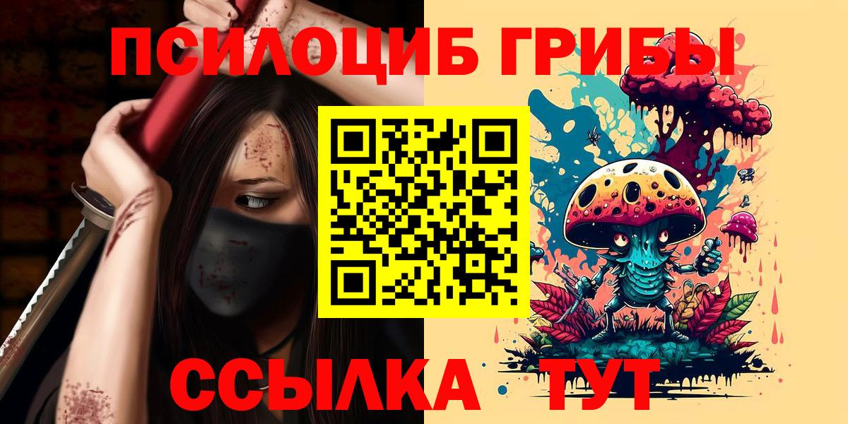 Галлюциногенные грибы MAGIC MUSHROOMS  Вход с VPN  Михайловск  Псилоцибиновые грибы GOLDEN TEACHER 